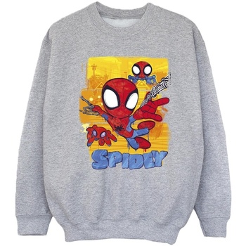Vêtements Fille Sweats Marvel Spidey And His Amazing Friends Flying Gris