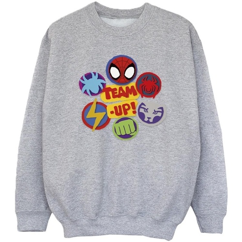 Vêtements Fille Sweats Marvel Spidey And His Amazing Friends Team Up Gris
