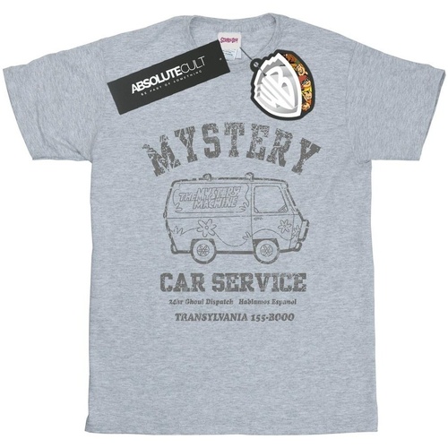 Vêtements Fille T-shirts manches longues Scooby Doo Mystery Car Service Gris