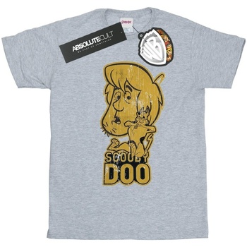 Vêtements Fille T-shirts manches longues Scooby Doo And Shaggy Gris