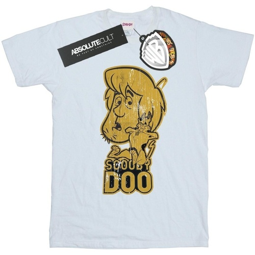 Vêtements Fille T-shirts manches longues Scooby Doo And Shaggy Blanc