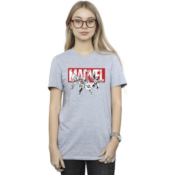 Vêtements Femme T-shirts manches longues Marvel Comics Hero Group Gris