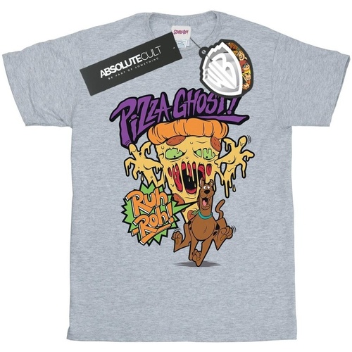 Vêtements Fille T-shirts manches longues Scooby Doo Pizza Ghost Gris