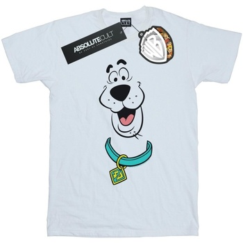 Vêtements Fille T-shirts manches longues Scooby Doo Big Face Blanc
