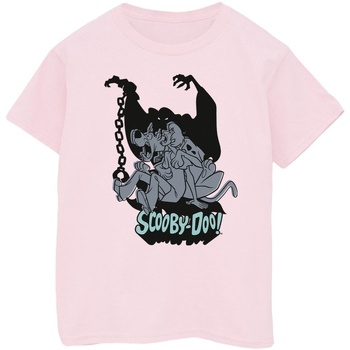 Vêtements Fille T-shirts manches longues Scooby Doo Scared Jump Rouge