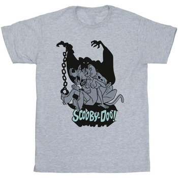 Vêtements Fille T-shirts manches longues Scooby Doo Scared Jump Gris