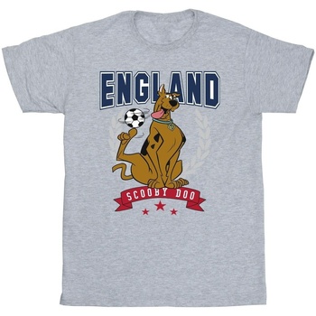 Vêtements Fille T-shirts manches longues Scooby Doo England Football Gris
