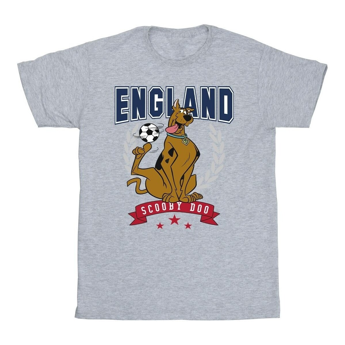 Vêtements Fille T-shirts manches longues Scooby Doo England Football Gris