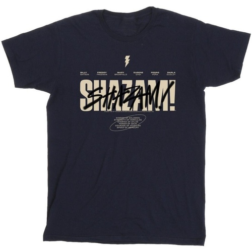 Vêtements Fille T-shirts manches longues Dc Comics Shazam Fury Of The Gods Vandalised Logo Bleu