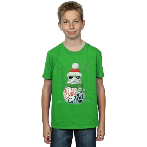 Vêtements Garçon T-shirts manches courtes Disney Stormtrooper Up To Snow Good Vert
