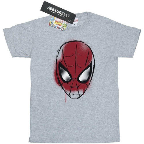 Vêtements Fille T-shirts manches longues Marvel Spider-Man Face Sketch Gris