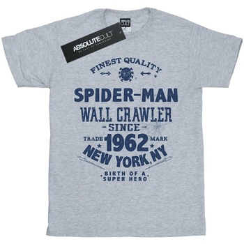 Vêtements Fille T-shirts manches longues Marvel Spider-Man Finest Quality Gris