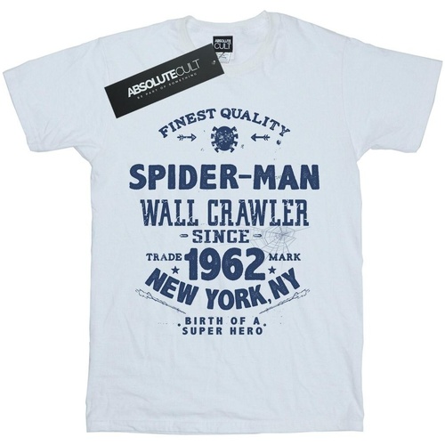 Vêtements Fille T-shirts manches longues Marvel Spider-Man Finest Quality Blanc