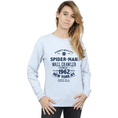 Vêtements Femme Sweats Marvel Spider-Man Finest Quality Gris