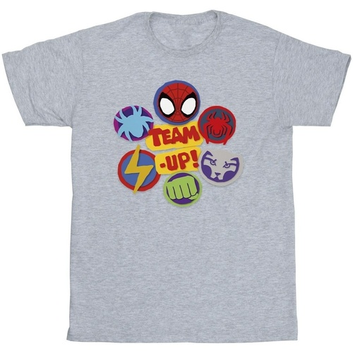 Vêtements Fille T-shirts manches longues Marvel Spidey And His Amazing Friends Team Up Gris