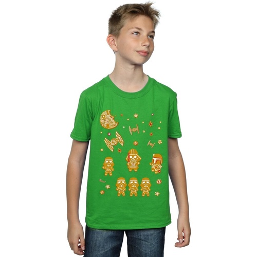 Vêtements Garçon T-shirts manches courtes Disney Gingerbread Empire Vert