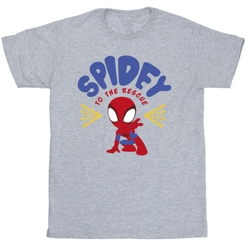 Vêtements Fille T-shirts manches longues Marvel Spidey And His Amazing Friends Rescue Gris