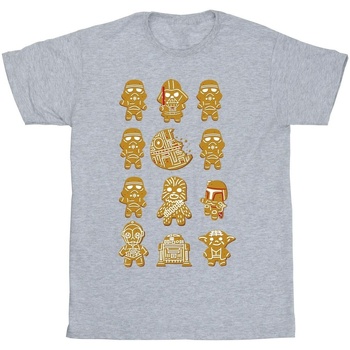 Vêtements Garçon T-shirts manches courtes Disney Episode IV: A New Hope 32 Gingerbread Gris