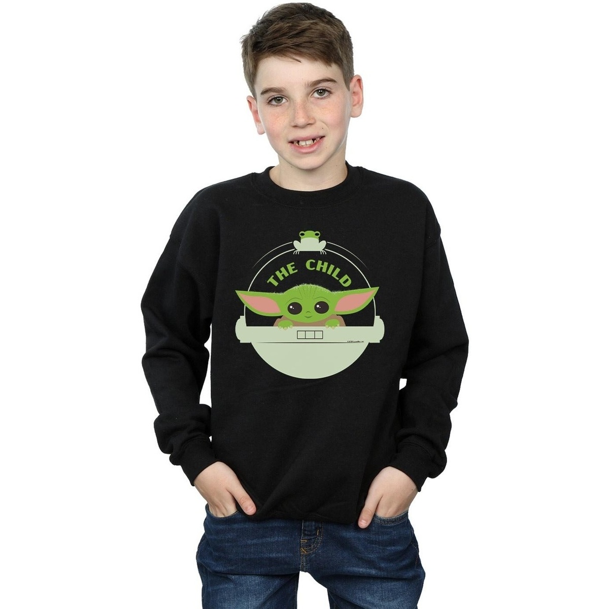 Vêtements Garçon Sweats Disney The Mandalorian The Child And Frog Noir