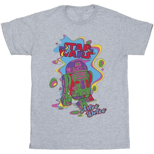 Vêtements Garçon T-shirts manches courtes Disney R2D2 Pop Art Gris