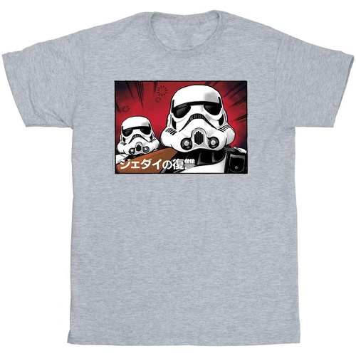 Vêtements Garçon T-shirts manches courtes Disney Stormtrooper Japanese Gris