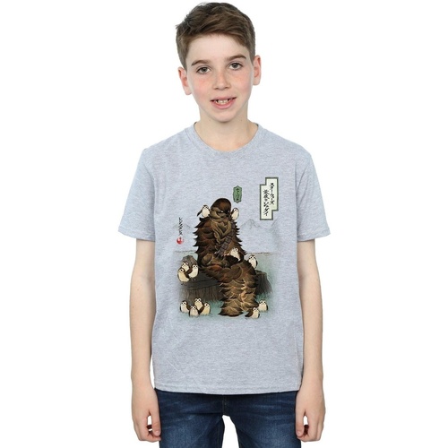 Vêtements Garçon T-shirts manches courtes Disney The Last Jedi Japanese Chewbacca Porgs Gris