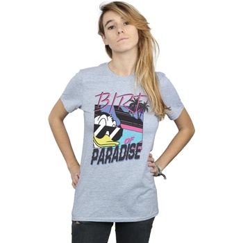 Vêtements Femme T-shirts manches longues Disney Donald Duck Bird Of Paradise Gris