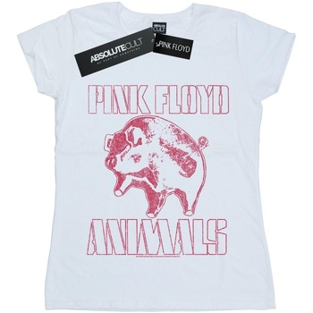 Vêtements Femme Recevez une réduction de Pink Floyd Animals Algie Blanc