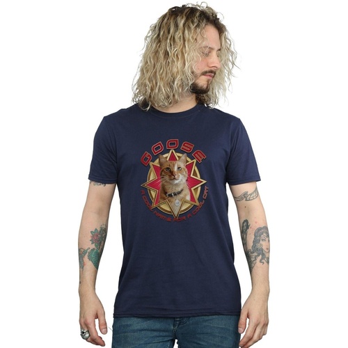 Vêtements Homme T-shirts manches longues Marvel Captain  Goose Cool Cat Bleu