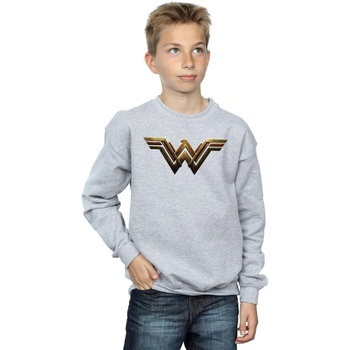 Vêtements Garçon Sweats Dc Comics Justice League Movie Wonder Woman Emblem Gris