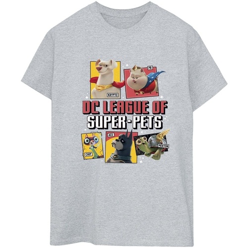 Vêtements Femme T-shirts manches longues Dc Comics DC League Of Super-Pets Profile Gris