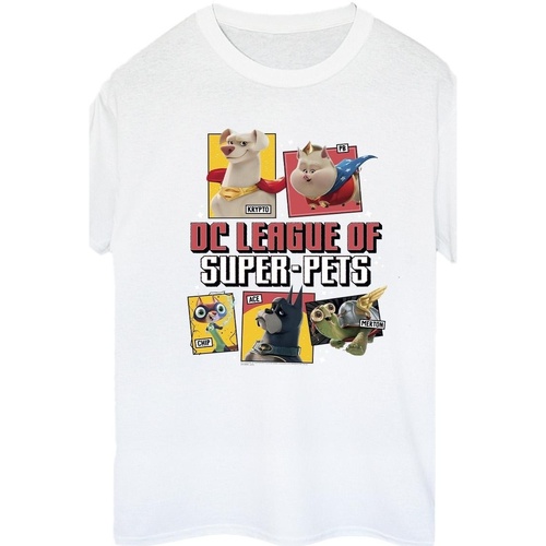 Vêtements Femme T-shirts manches longues Dc Comics DC League Of Super-Pets Profile Blanc