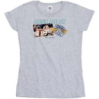 Vêtements Femme T-shirts manches longues Friends Meet Me At Central Perk Gris