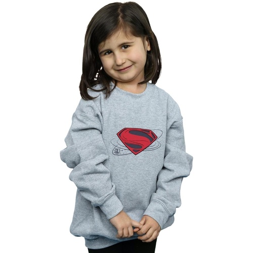 Vêtements Fille Sweats Dc Comics Justice League Movie Superman Logo Gris