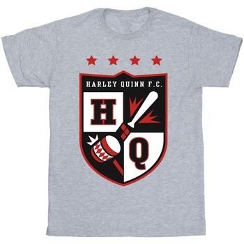 Vêtements Garçon T-shirts manches courtes Justice League Harley Quinn FC Pocket Gris