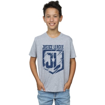 Vêtements Garçon T-shirts manches courtes Dc Comics Justice League Movie Indigo Logo Gris