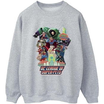 Vêtements Homme Sweats Dc Comics DC League Of Super-Pets Super Powered Pack Gris