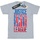 Vêtements Garçon T-shirts manches courtes Dc Comics Justice League Movie Team Flag Gris