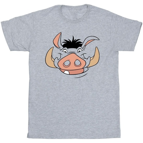 Vêtements Garçon T-shirts manches courtes Disney Lion King Pumba Face Gris