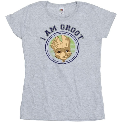 Vêtements Femme T-shirts manches longues Guardians Of The Galaxy Groot Varsity Gris