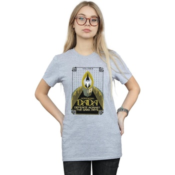 Vêtements Femme T-shirts manches longues Fantastic Beasts Advanced DADA Gris