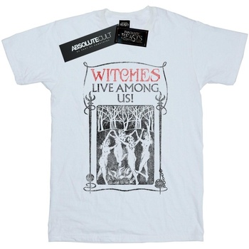 Vêtements Femme T-shirts manches longues Fantastic Beasts Witches Live Among Us Blanc