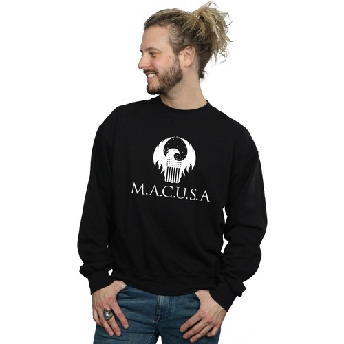 Vêtements Homme Sweats Fantastic Beasts MACUSA Logo Noir