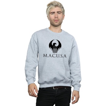 Vêtements Homme Sweats Fantastic Beasts MACUSA Logo Gris