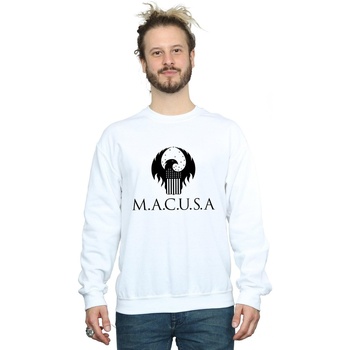 Vêtements Homme Sweats Fantastic Beasts MACUSA Logo Blanc