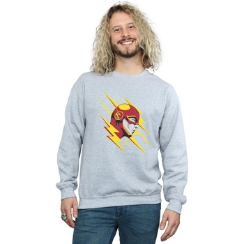 Vêtements Homme Sweats Dc Comics The Flash Lightning Portrait Gris