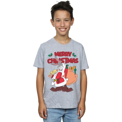 Vêtements Garçon T-shirts manches courtes Dessins Animés Santa Bugs Bunny Gris