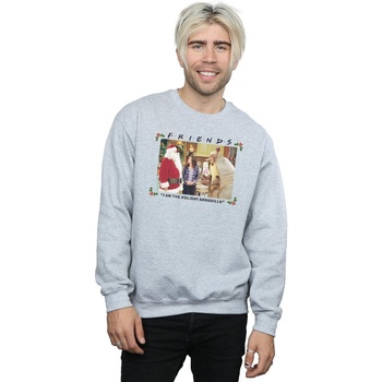 Vêtements Homme Sweats Friends I Am The Holiday Armadillo Gris