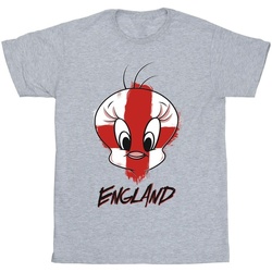 Vêtements Garçon T-shirts manches courtes Dessins Animés Tweety England Face Gris
