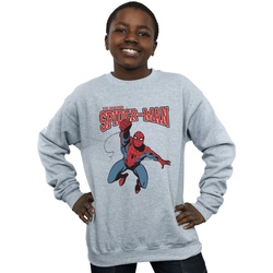 Vêtements Garçon Sweats Marvel Spider-Man Leap Gris